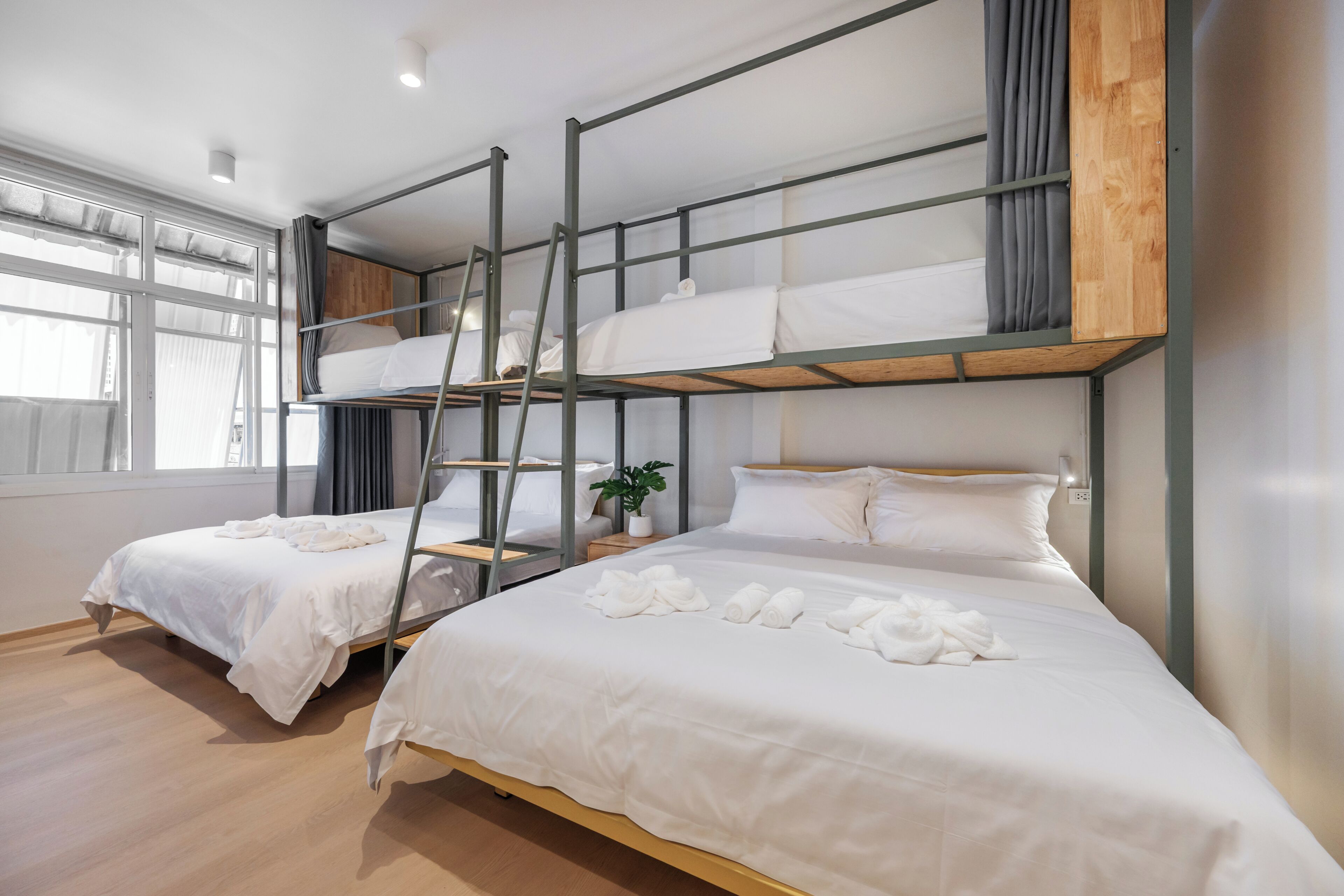 A hotel room with bunk beds, a ladder, a bedside table with a plant, and a window with curtains.