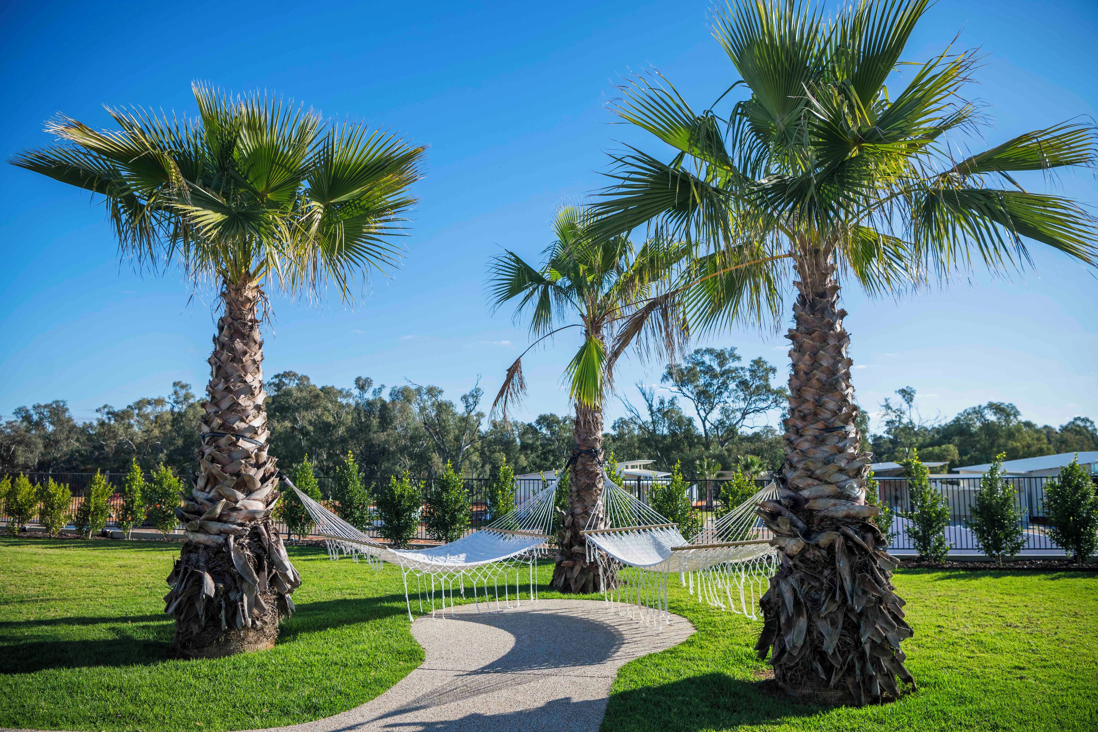 A pathway leading to a hammock area surrounded by palm trees.