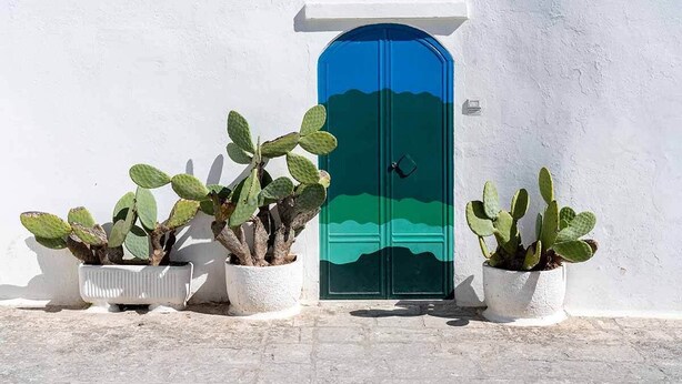 Un mur blanc avec une porte bleue et deux cactus en pot.