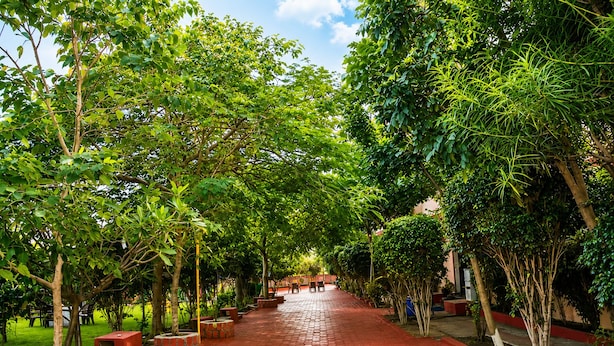 Un sendero bordeado de árboles y bancos que conduce a un edificio.