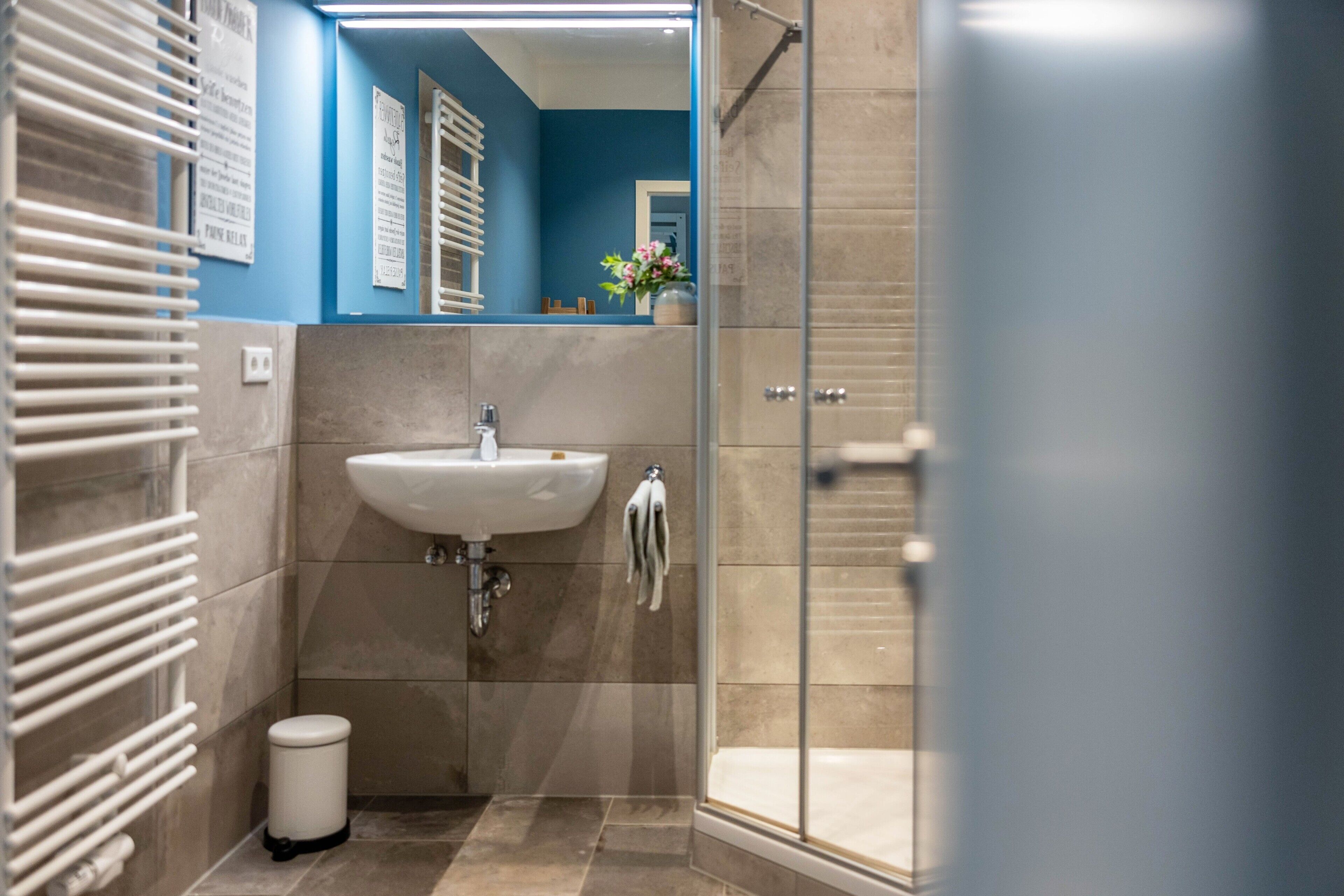 Shower, hair dryer, towels