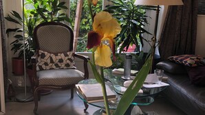 A living room with a glass table, a chair, a sofa, and various plants. - Quiet artist's house with stunning lake view. (Tresserve)