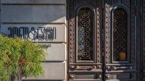 A building facade with a sign, ornate windows, and a tree. - Monograph Freedom Square (Tbilisi)