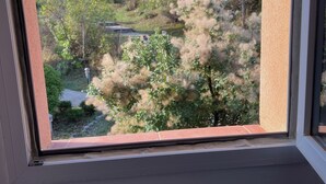 A window with a view of trees and a building. - House le Rouret (Grospierres)