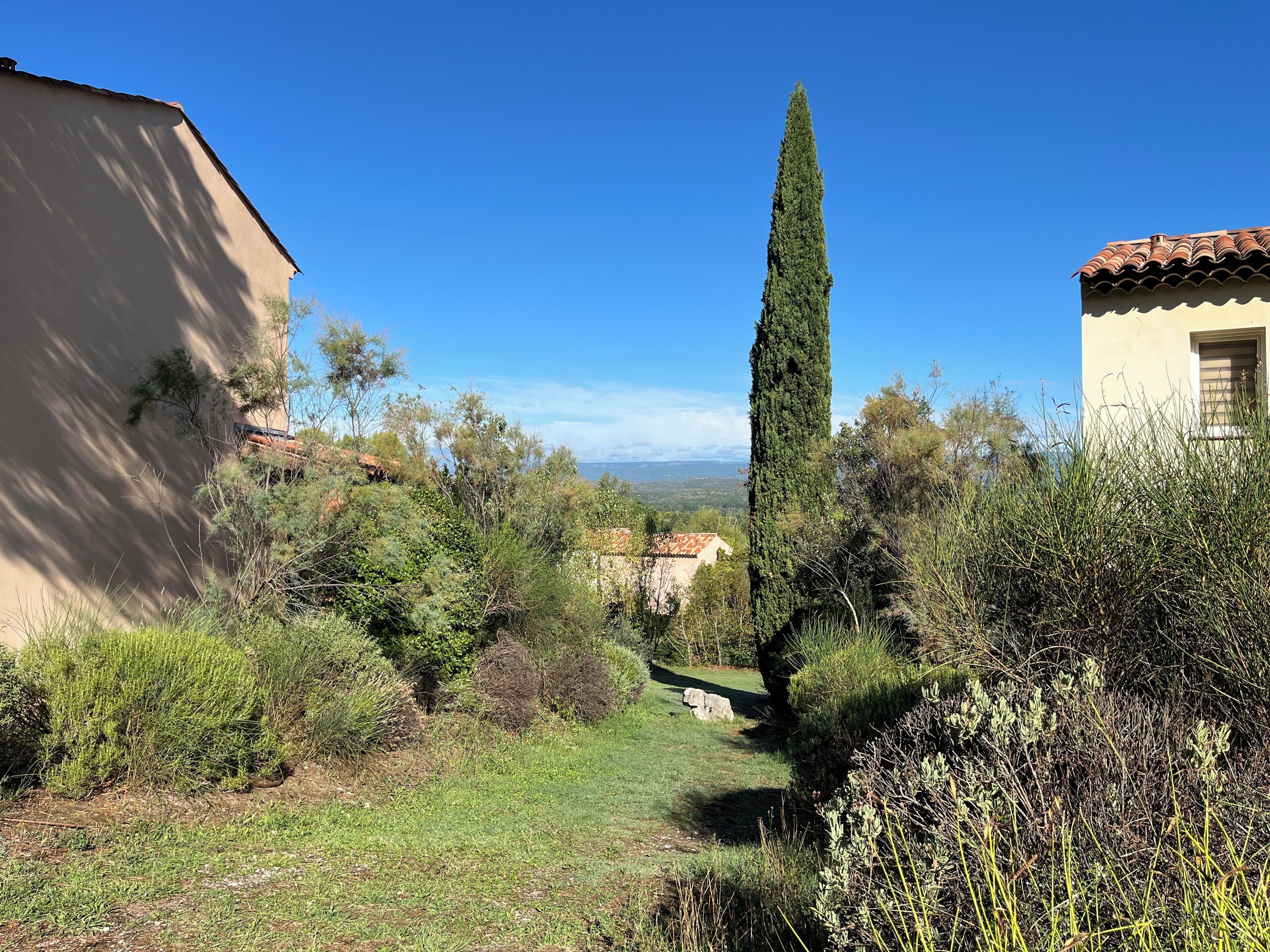 A hillside view with a tall cypress tree, a building with a tiled roof, and a clear blue sky.