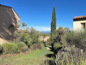 A hillside view with a tall cypress tree, a building with a tiled roof, and a clear blue sky. - House le Rouret (Grospierres)