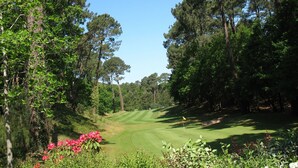 En golfbana med tydliga gångvägar, omgiven av höga träd och blommande växter.