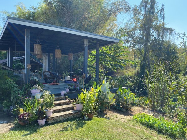 Un espacio exterior cubierto con escalones que conducen a una zona de estar, rodeado de plantas en macetas y abundante vegetación.