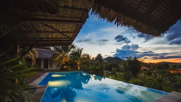 A swimming pool with a clear view of the surrounding landscape, including palm trees and a thatched-roof structure.
