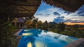 A swimming pool with a clear view of the surrounding landscape, including palm trees and a thatched-roof structure.