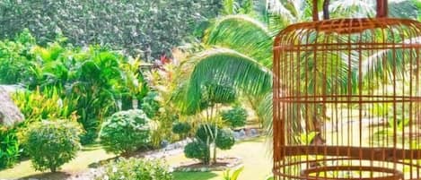 Garden Villa | Property grounds