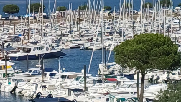 En småbåtshamn med många båtar förtöjda, en gångväg och en byggnad med en blå dörr.