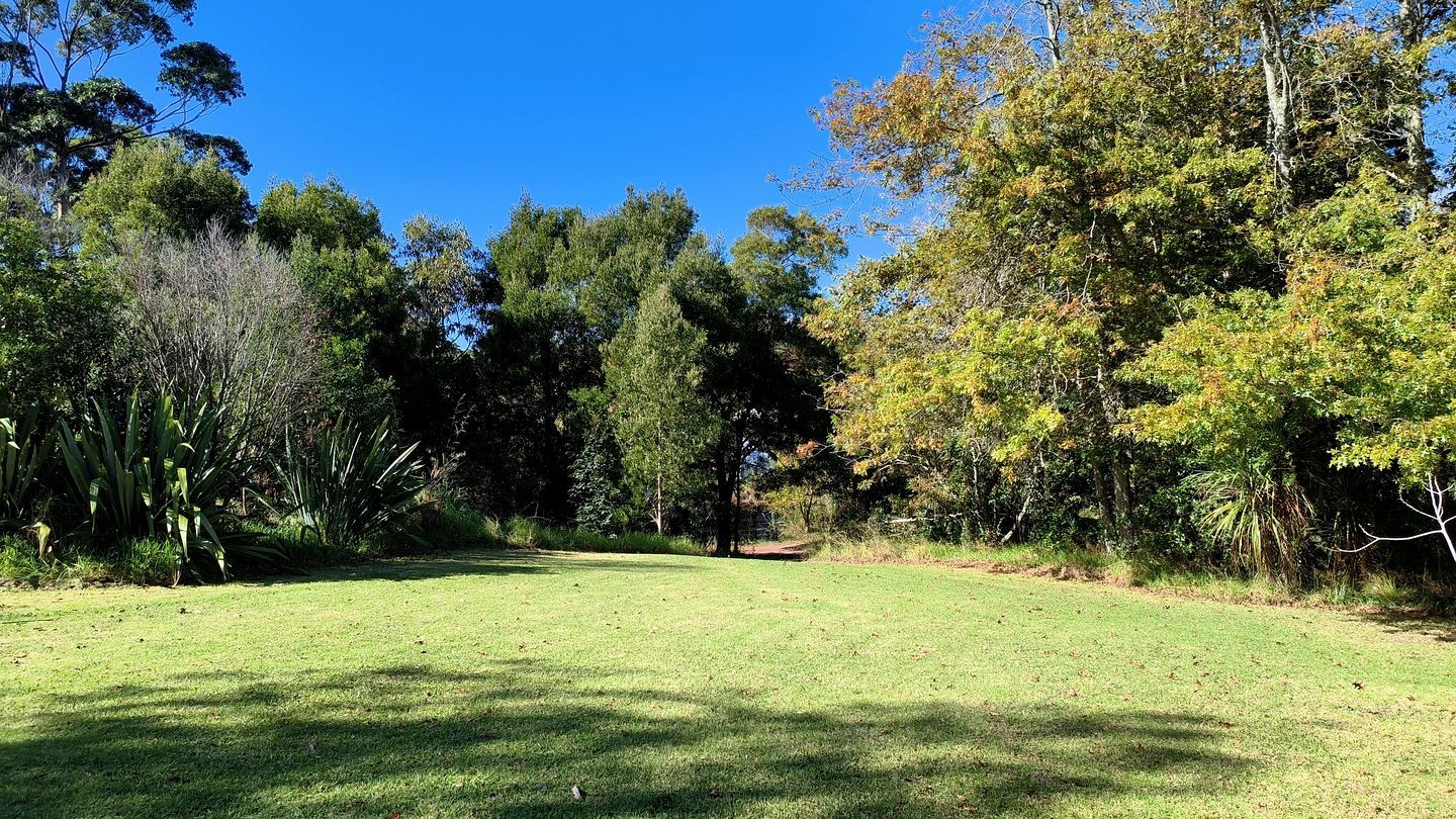 A grassy field with trees and a clear blue sky.