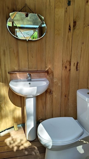 Une salle de bain en bois avec un lavabo blanc, un miroir et des toilettes.
