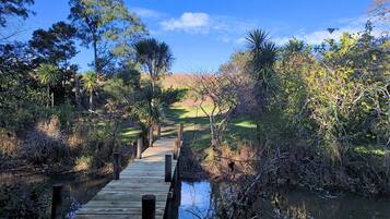 A wooden bridge over a calm water body, surrounded by dense vegetation and trees.