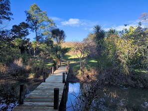 Un puente de madera sobre aguas tranquilas, rodeado de vegetación densa y árboles.