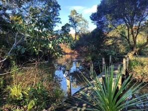 Un paisaje natural con un puente de madera sobre un estanque, rodeado de árboles y vegetación.
