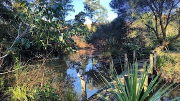 A natural landscape with a wooden bridge over a pond, surrounded by trees and vegetation.