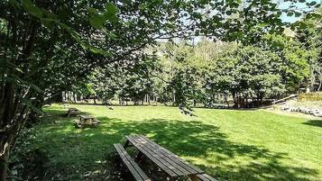 Une table de pique-nique se trouve dans un espace verdoyant, avec des arbres et une clôture en arrière-plan.