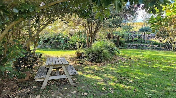 A wooden picnic table in a garden with various plants and trees.