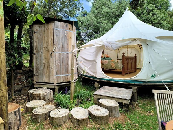 A tent with a wooden structure adjacent to it, surrounded by tree stumps and greenery.