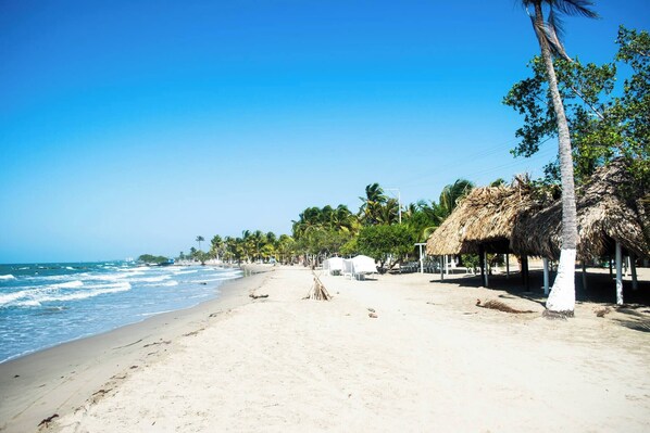 A beach with thatched-roof structures, palm trees, and a clear sky.