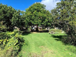 A grassy outdoor area with trees and a wooden structure. - Secluded Glamping Retreat with Private Wine Barrel Bathroom near Oneroa, Waiheke Island (Waiheke Island)