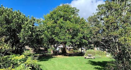 Secluded Glamping Retreat with Private Wine Barrel Bathroom near Oneroa, Waiheke Island