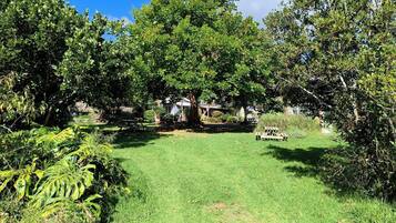 A grassy outdoor area with trees and a wooden structure.