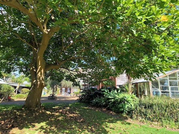 Une cour bordée d’arbres, avec un bâtiment doté de grandes fenêtres et d’une serre.