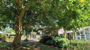 A tree-lined courtyard with a building featuring large windows and a greenhouse.