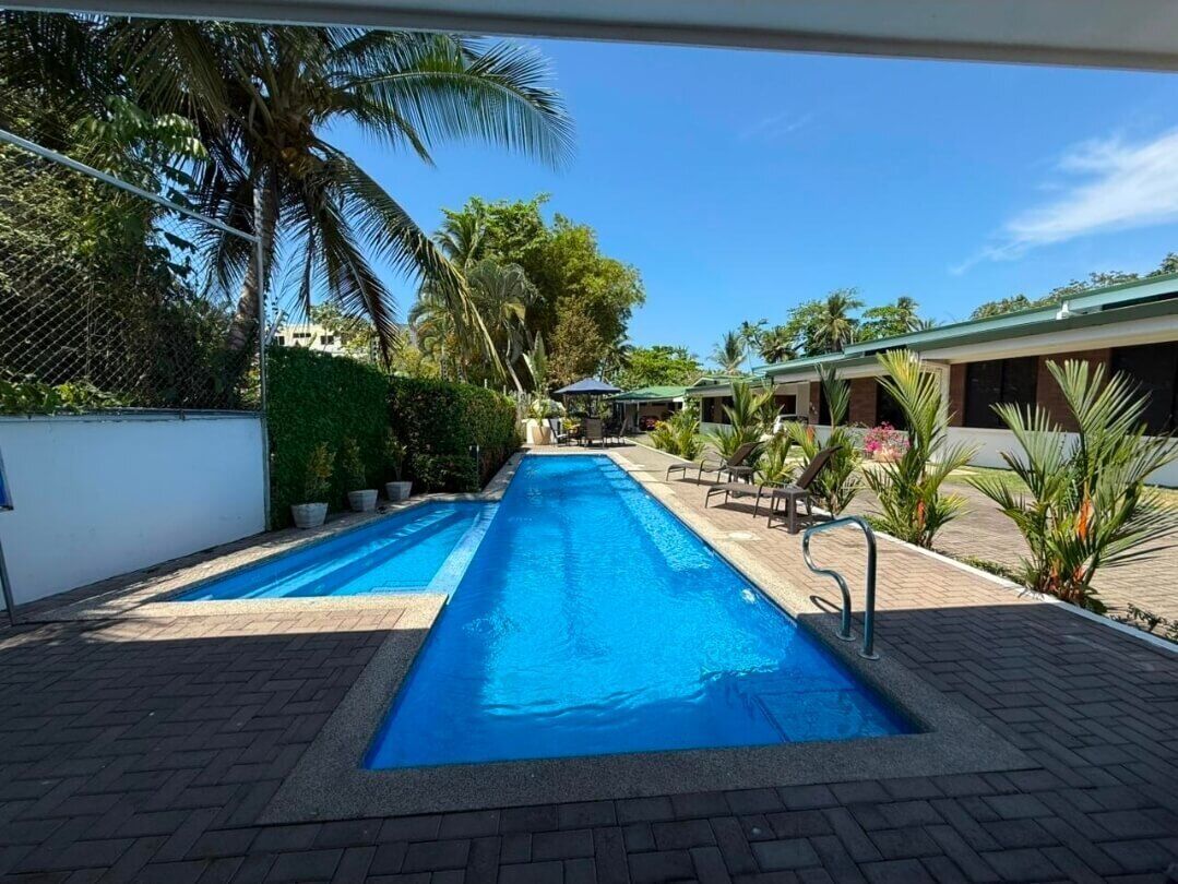A swimming pool with lounge chairs and palm trees.