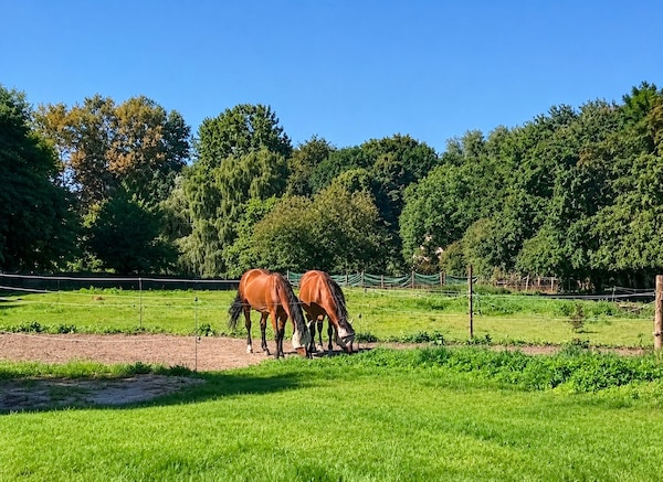 Chez Raoul - Nivelles
