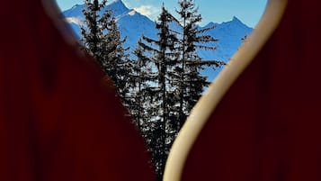 Vistas desde el alojamiento