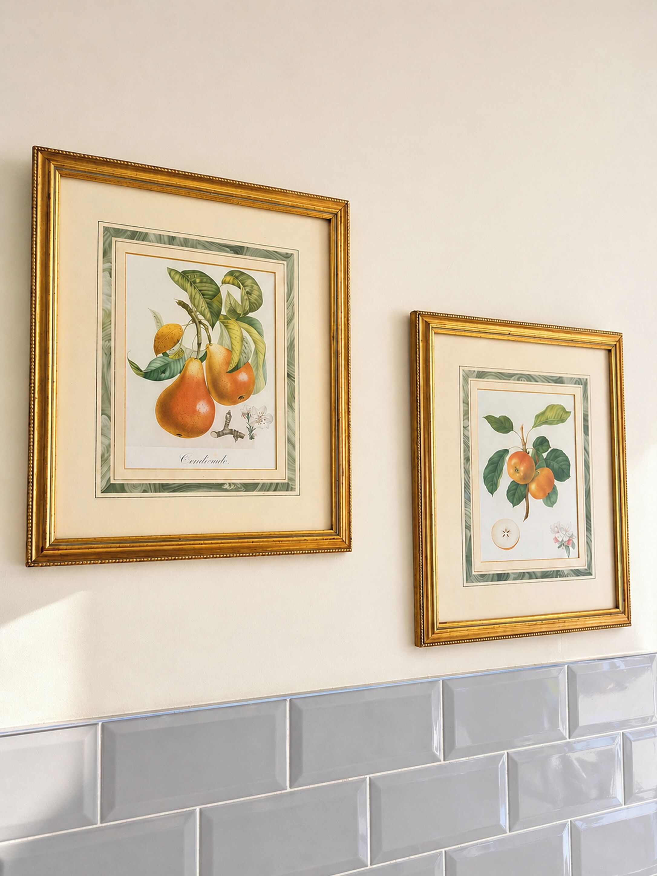 Two framed botanical prints on a wall.