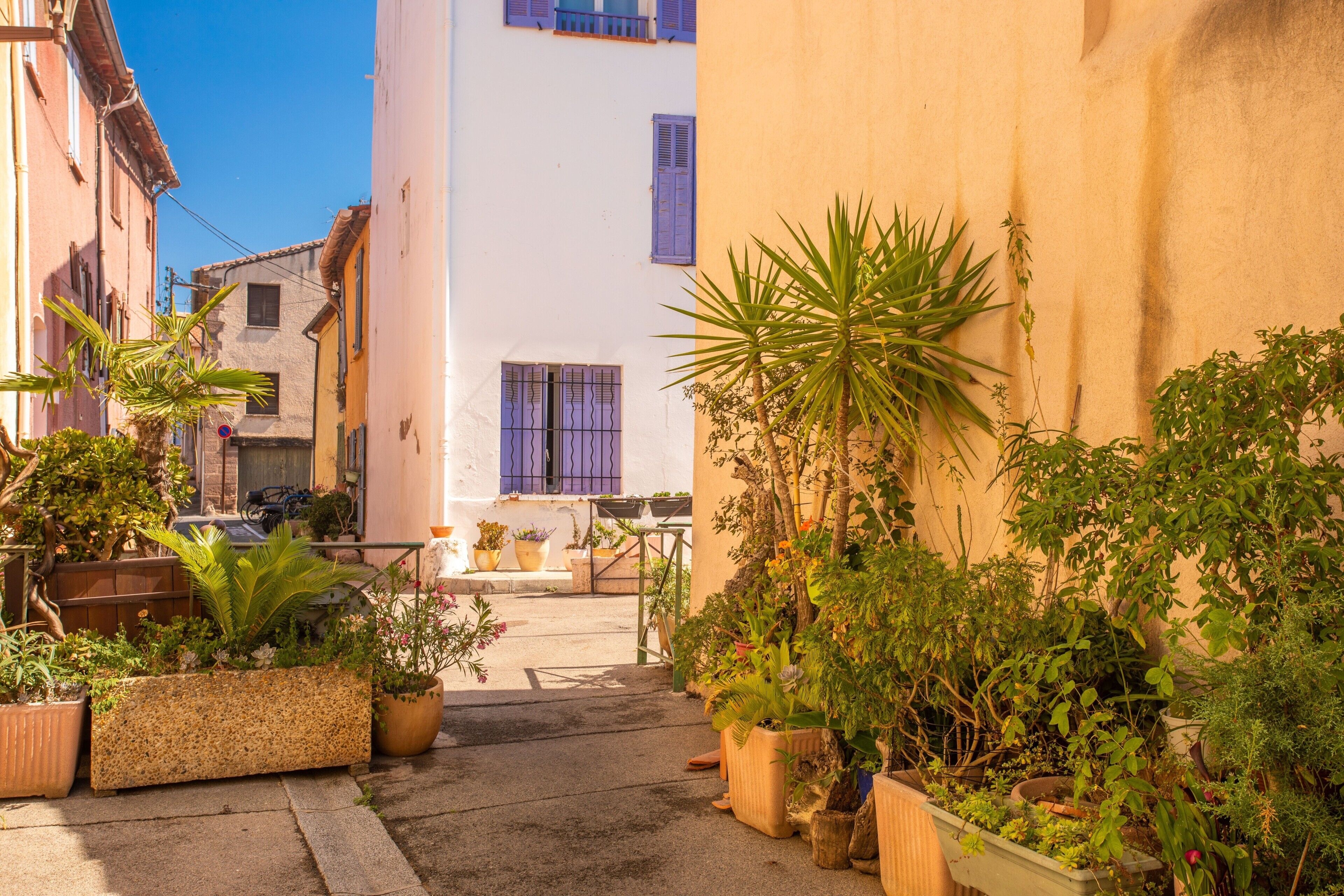 Uma rua estreita com edifícios em ambos os lados, plantas em vasos e um céu azul claro.