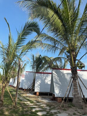 Property grounds - Hoa Tigon Hon Mot (Phu Quoc)
