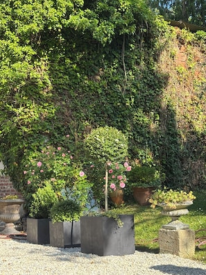A garden with a variety of plants, including roses, and a brick wall in the background. - Charming farmhouse on 5000m2 Near deauville pets welcome (Blonville-sur-Mer)