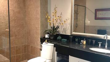 Shower, hair dryer, towels, soap