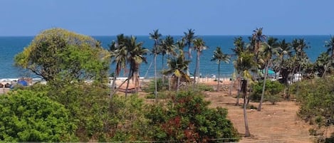 Vista desde la propiedad