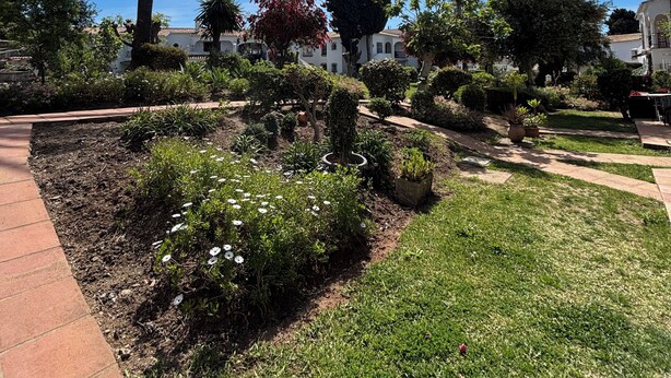 A landscaped garden with palm trees, a brick pathway, and a clear sky. - Charming El Paraiso Apt with Gibraltar Views Near Puerto Banus (El Paraíso)