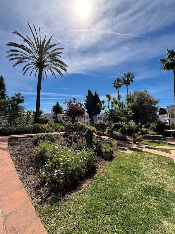 Ein angelegter Garten mit Palmen, einem Pflasterweg und blauem Himmel.