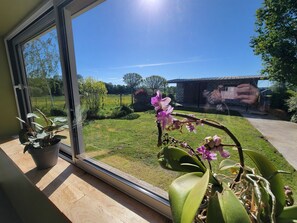 Une vue à travers une fenêtre donnant sur un jardin, un bâtiment et un pot de fleurs posé sur le rebord de la fenêtre.