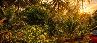 Tremendous 3-bedroom villa in pleasant Hosur getaway