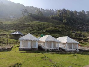 Tres tiendas blancas de techo puntiagudo, situadas en un campo cubierto de césped con un muro de piedra y un edificio pequeño al fondo.