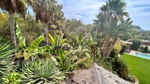 Um jardim exuberante com diversas plantas tropicais, uma estrutura de palha e uma piscina.