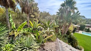A lush garden with various tropical plants, a thatched structure, and a swimming pool. - SERENITY POOL VILLA IBIZA (Santa Eulària des Riu)