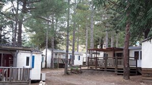 Un terrain de camping avec des mobil-homes, des terrasses en bois et un sol en terre.