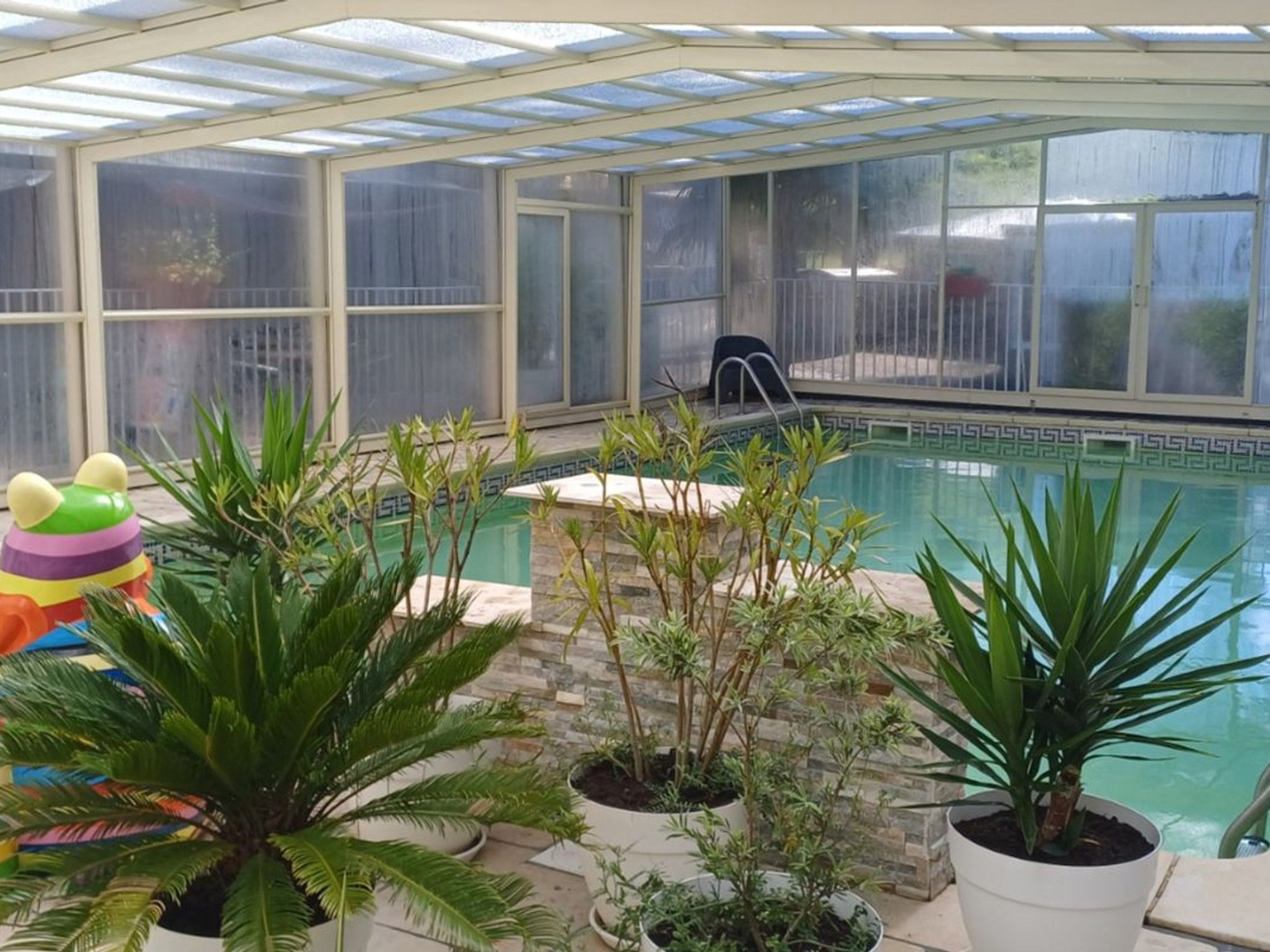 An indoor pool area with a glass ceiling, surrounded by potted plants and a colorful inflatable toy.