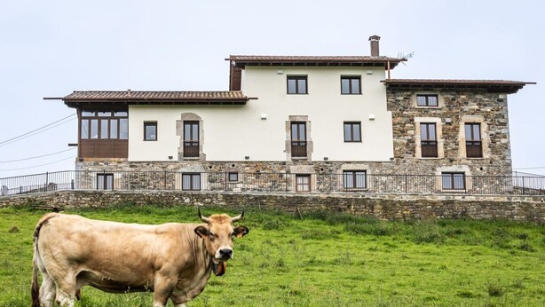 A two-story building with a stone facade and multiple windows, a cow in a grassy field in front. - Villa Camila 6 - La Panera (Villarraba)